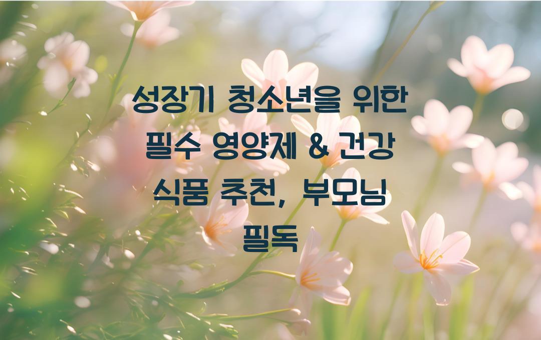 성장기 청소년을 위한 필수 영양제 & 건강 식품 추천