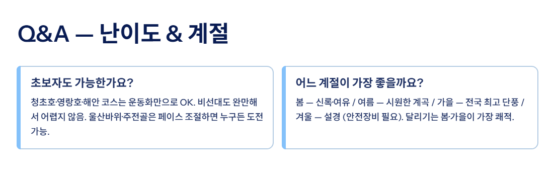 속초 근교 산책&middot;달리기&middot;트레킹 명소 완벽 가이드