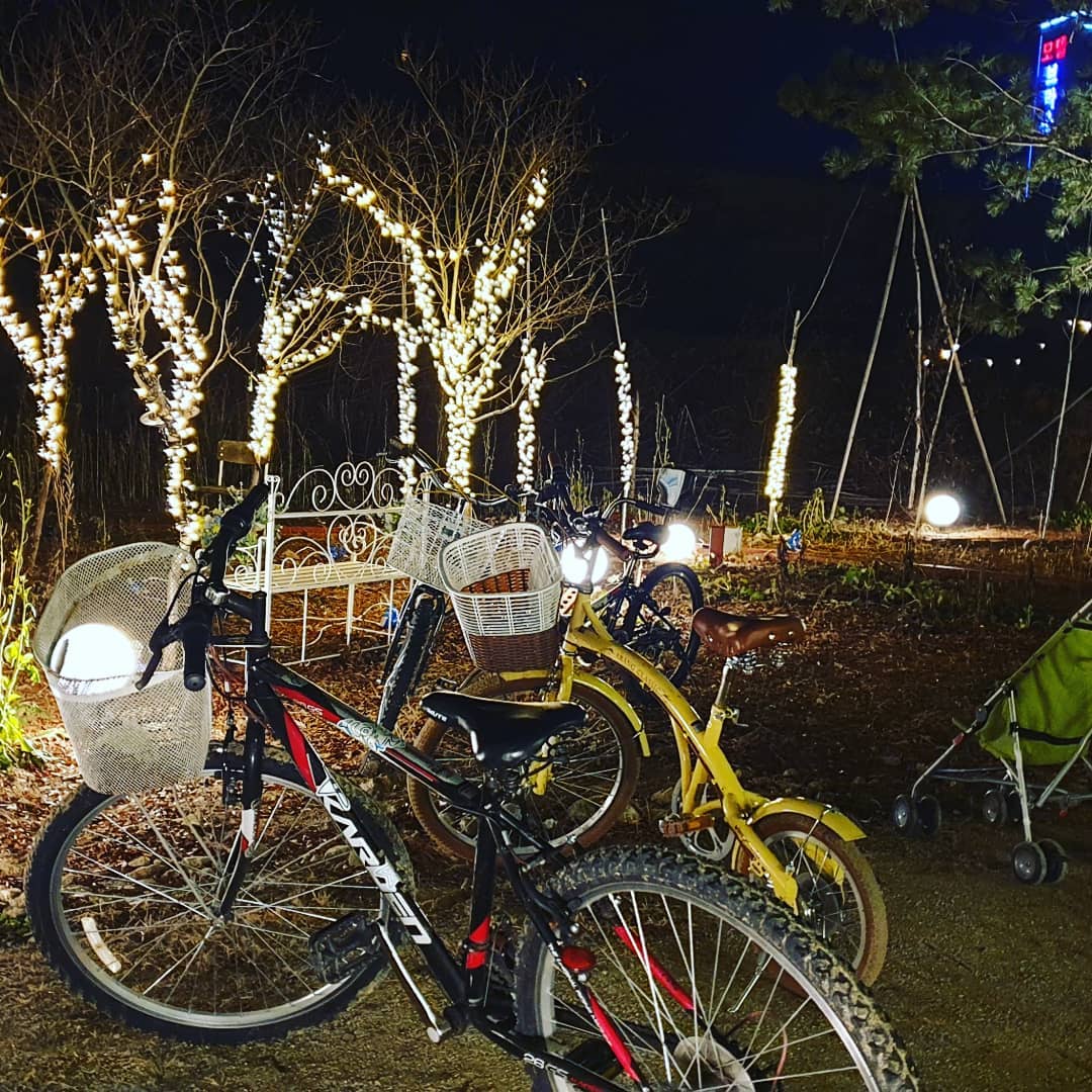 부채살 스테이크 화덕 통삼겹 바베큐 BBQ 화덕 피자 깔조네 파스타 브런치 가평 청평 맛집 추천 생방송투데이 떴다 동네방네