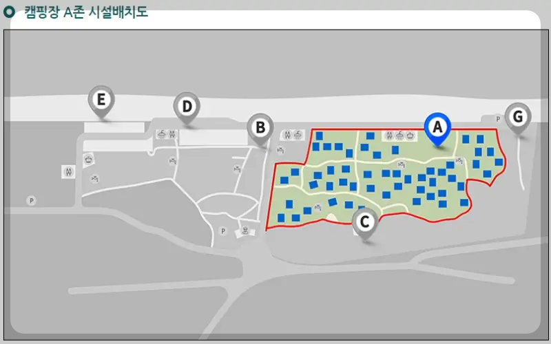 연곡 솔향기 캠핑장 a 구역