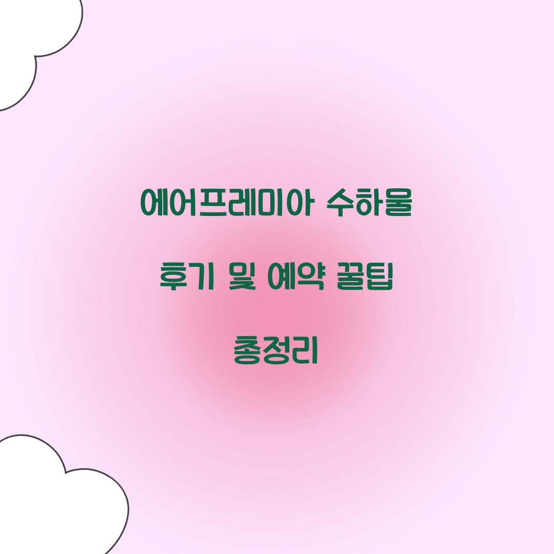 에어프레미아 수하물
