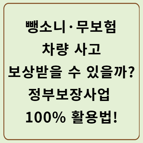 뺑소니·무보험 차량 사고, 보상받을 수 있을까? 정부보장사업 100% 활용법!
