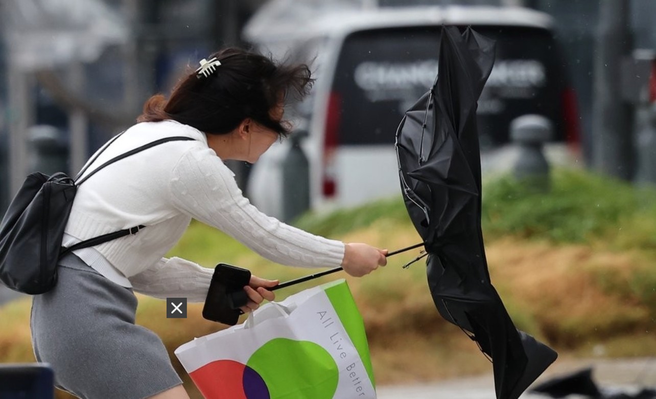 11호 태풍 하이쿠이