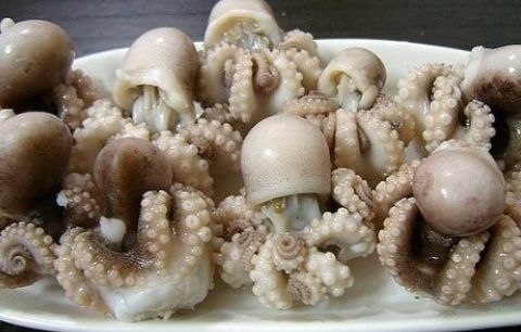 쭈꾸미 효능과 섭취 시 주의할 점