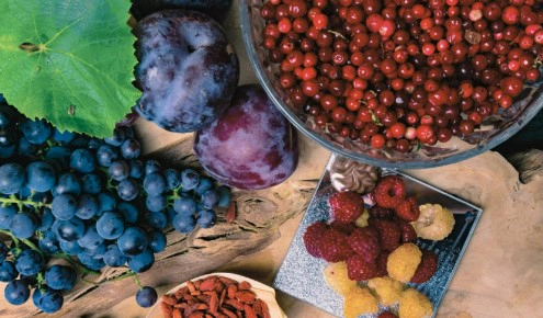 Resveratrol Benefits : Unveiling the Wonders of This Powerful Compound