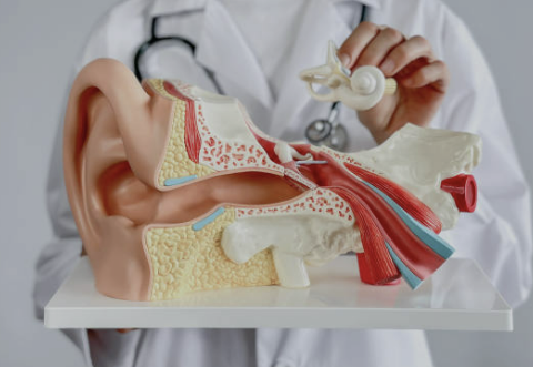 이명 치료방법 증상 원인 이명에 좋은 음식 알아보기(최신)