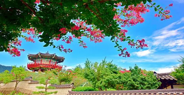 창원의집