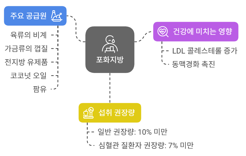 포화지방