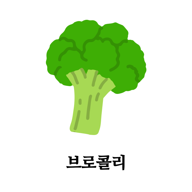 단백질-많은-음식