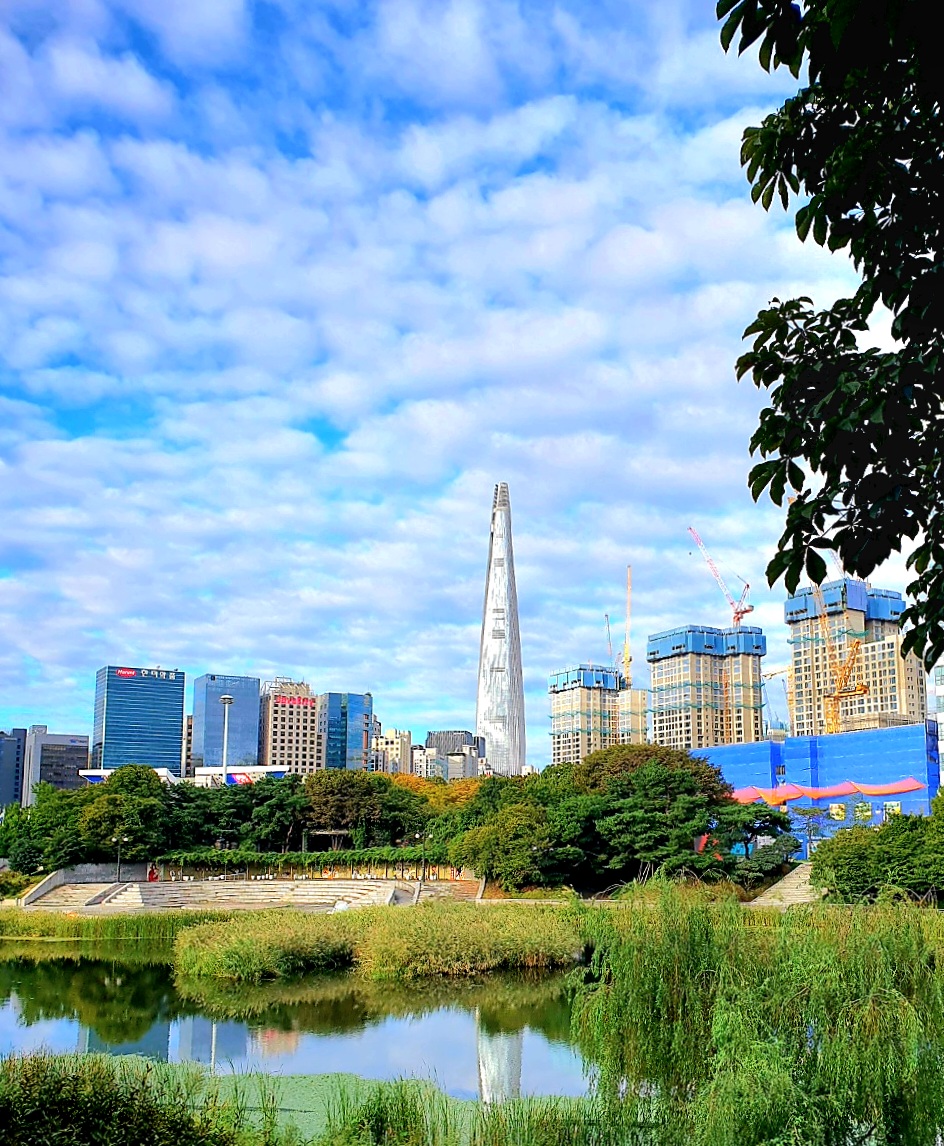 공원에서-롯데월드타워가-잘-보여요.
