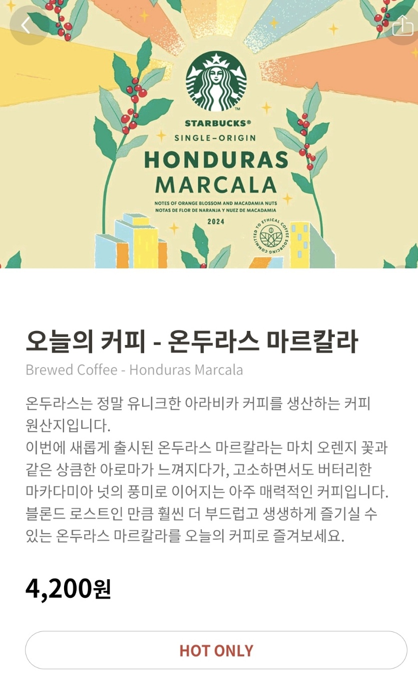 스타벅스 메뉴 추천