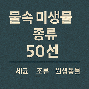 물속 미생물 종류 50선 관련 사진