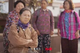 제주도 괸당문화란 유래 역사_8