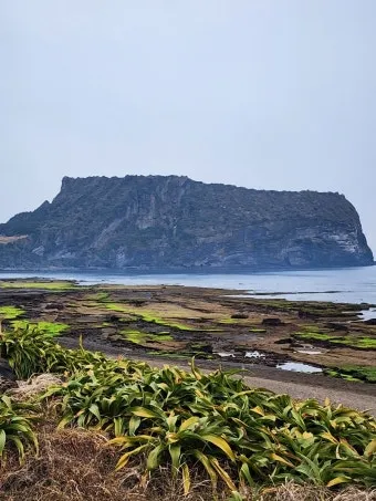 성산일출봉 입장료 할인팁과 해돋이 명소로 가는 길 정리_11