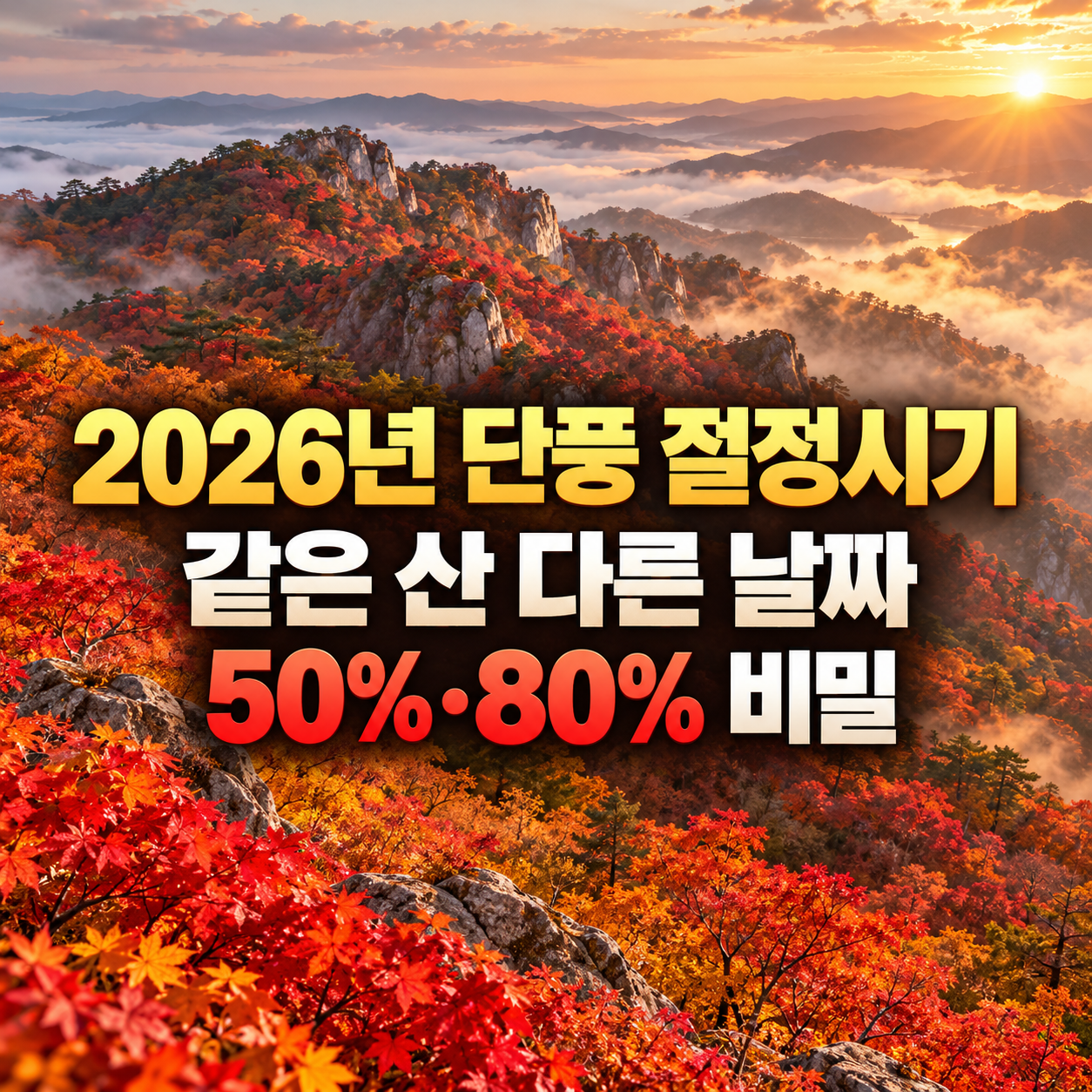 2026년 단풍 절정시기 같은 산 다른 날짜 50%&middot;80% 비밀