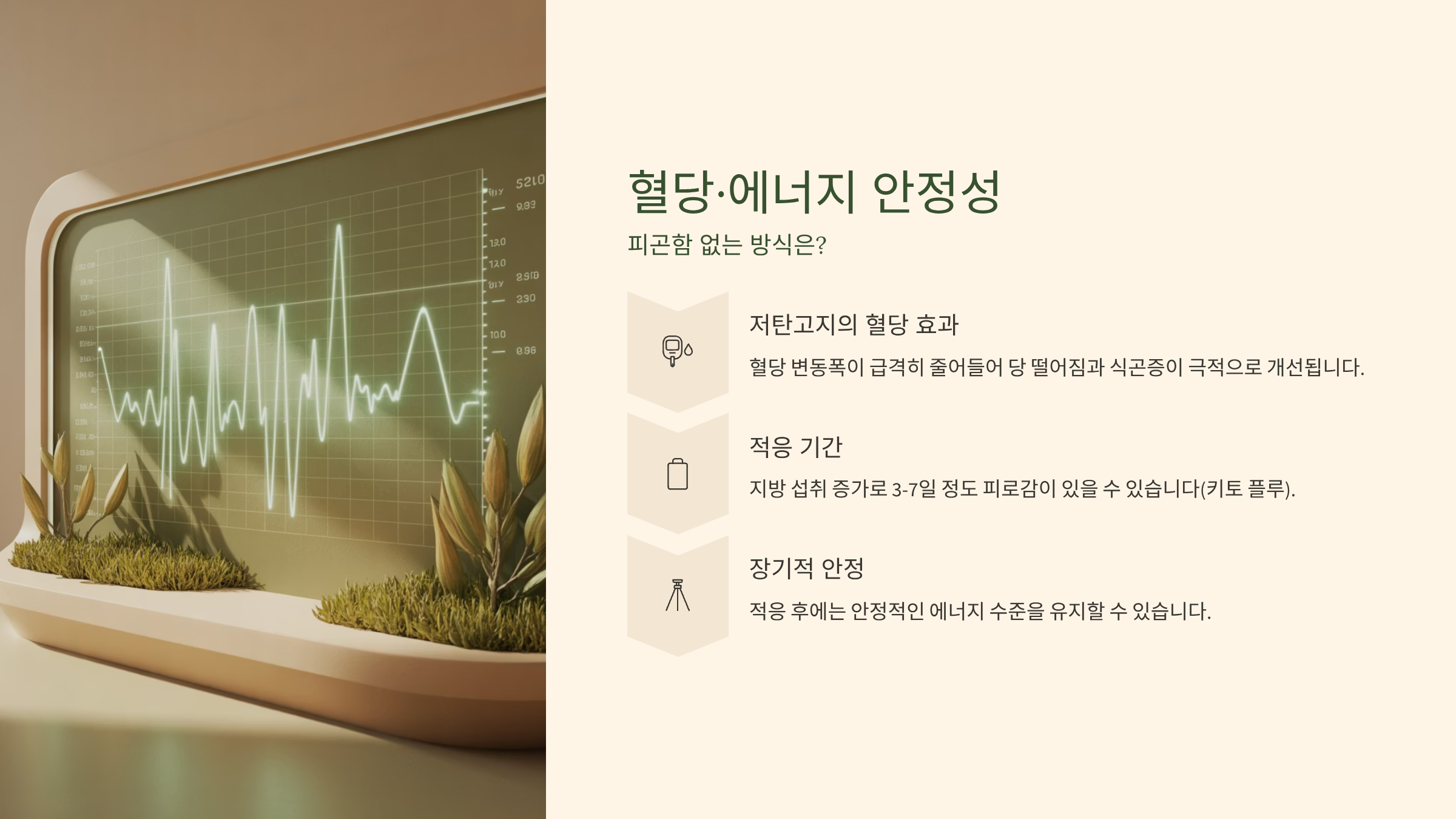 혈당.에너지 안정성