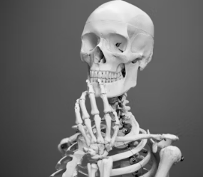 목 디스크 진단 기준 치료법 예방법