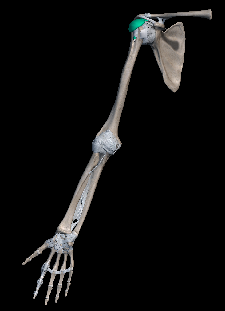 오십견 증상 원인 치료방법