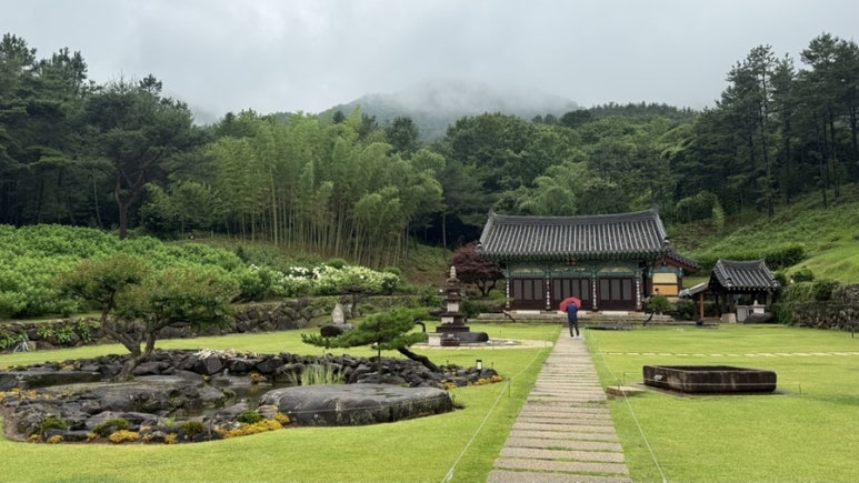 산청 수선사 연꽃 만개