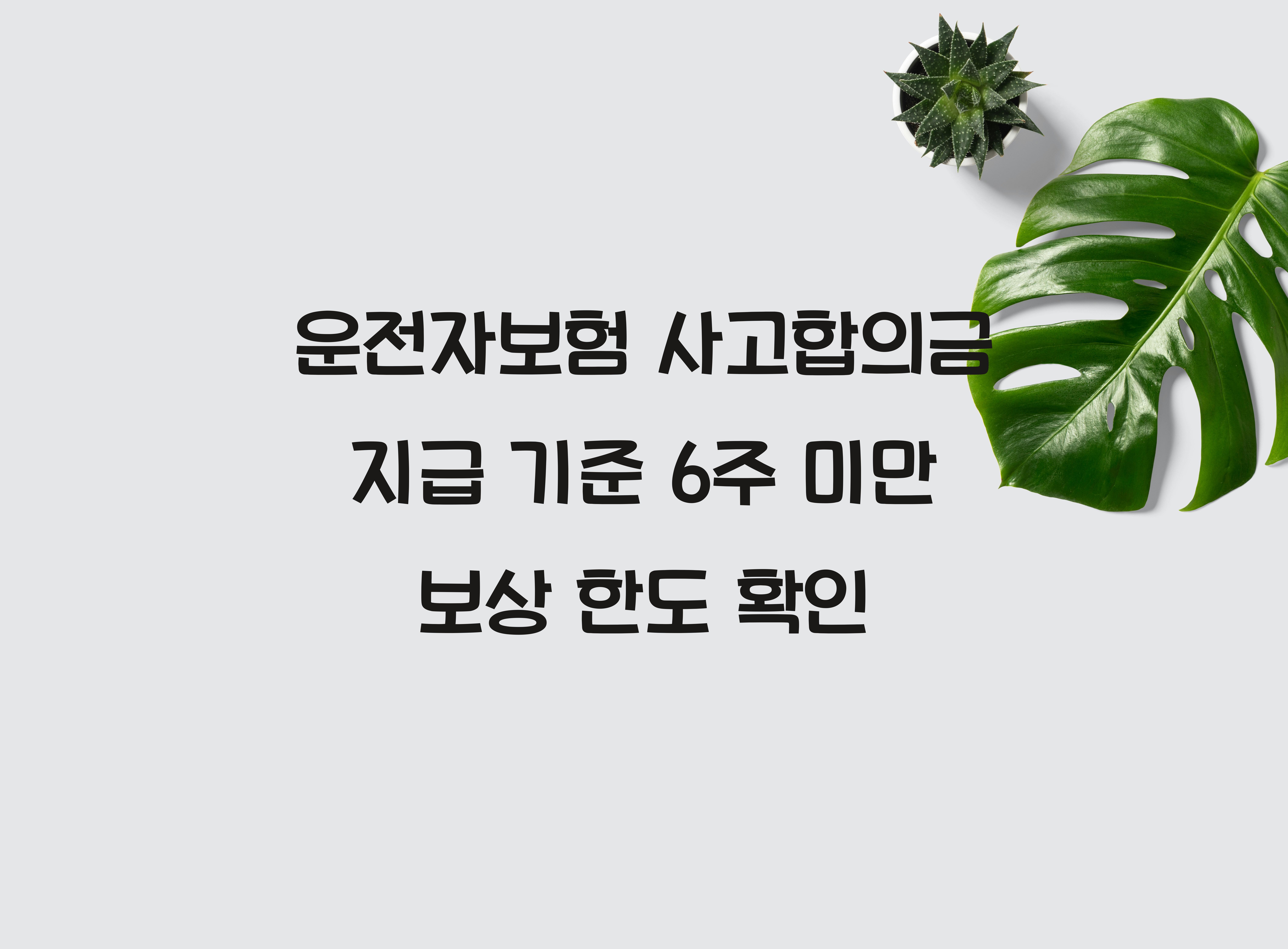 운전자보험 사고합의금 지급 기준