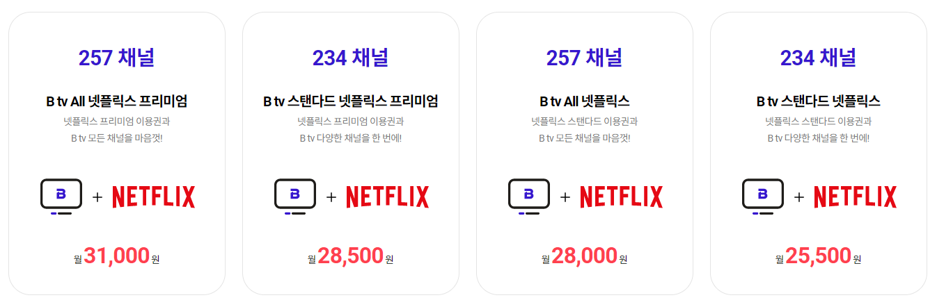 요금제 내용