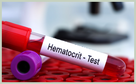 헤마토크리트 HCT 정상수치