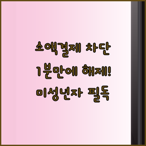 통신사별 소액결제 차단 해제 경로와 ..