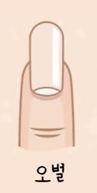 네일 쉐입 오벌 (Oval)