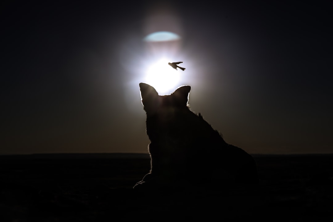 timing