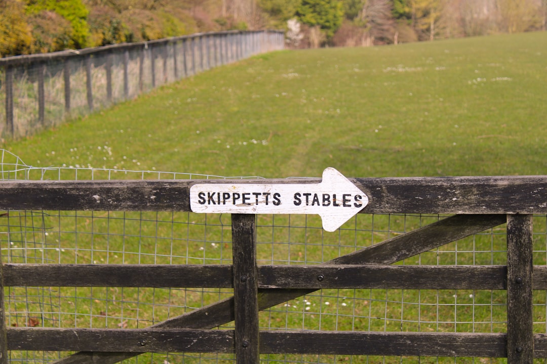 Support Fund