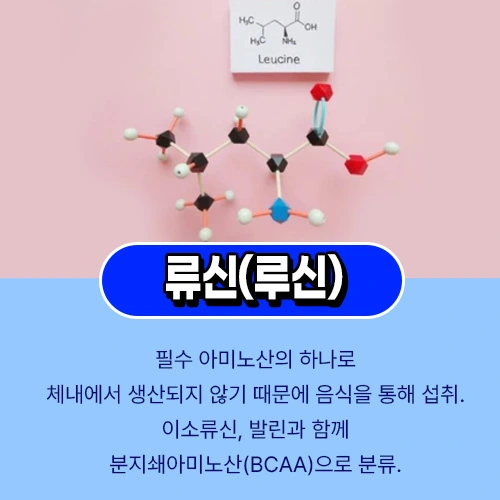 류신