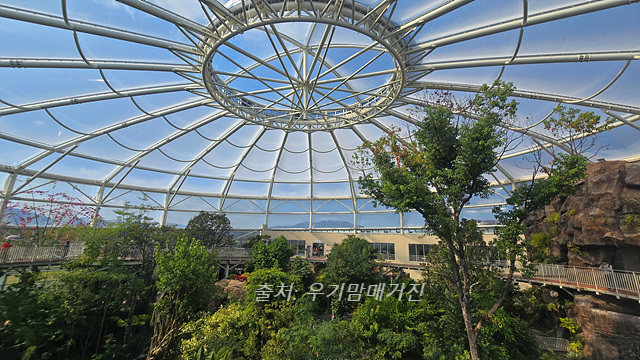 24년 순천만 국가정원 식물원 동문 순천여행