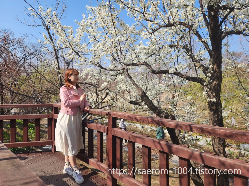 대연 수목전시원 3.19 사진