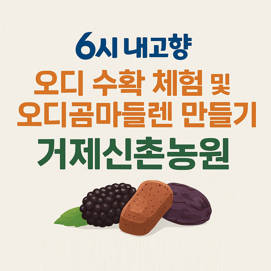 6시 내고향 오디 수확 체험 & 오디곰마들렌 만들기, 오디주문방법, 거제신촌농원