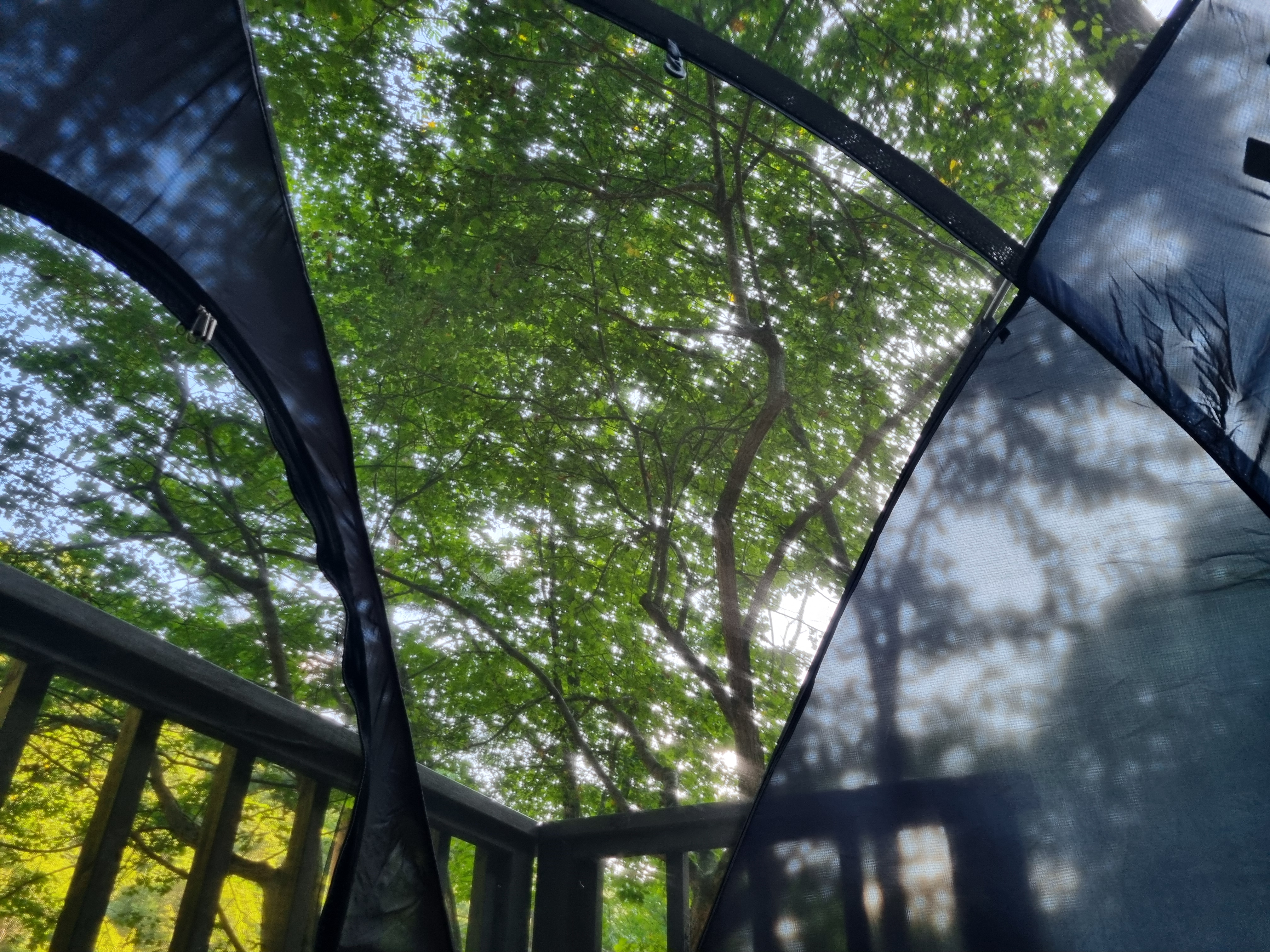 두타산자연휴양림 그늘