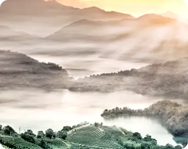 대만 여행지원금 신청방법 대만관광청 홈페이지