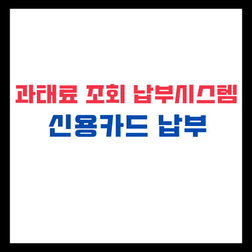 과태료 조회납부시스템 신용카드 납부