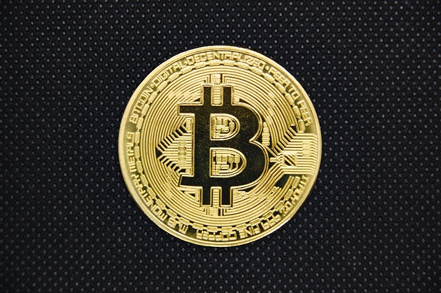 도지코인(Dogecoin) 전망