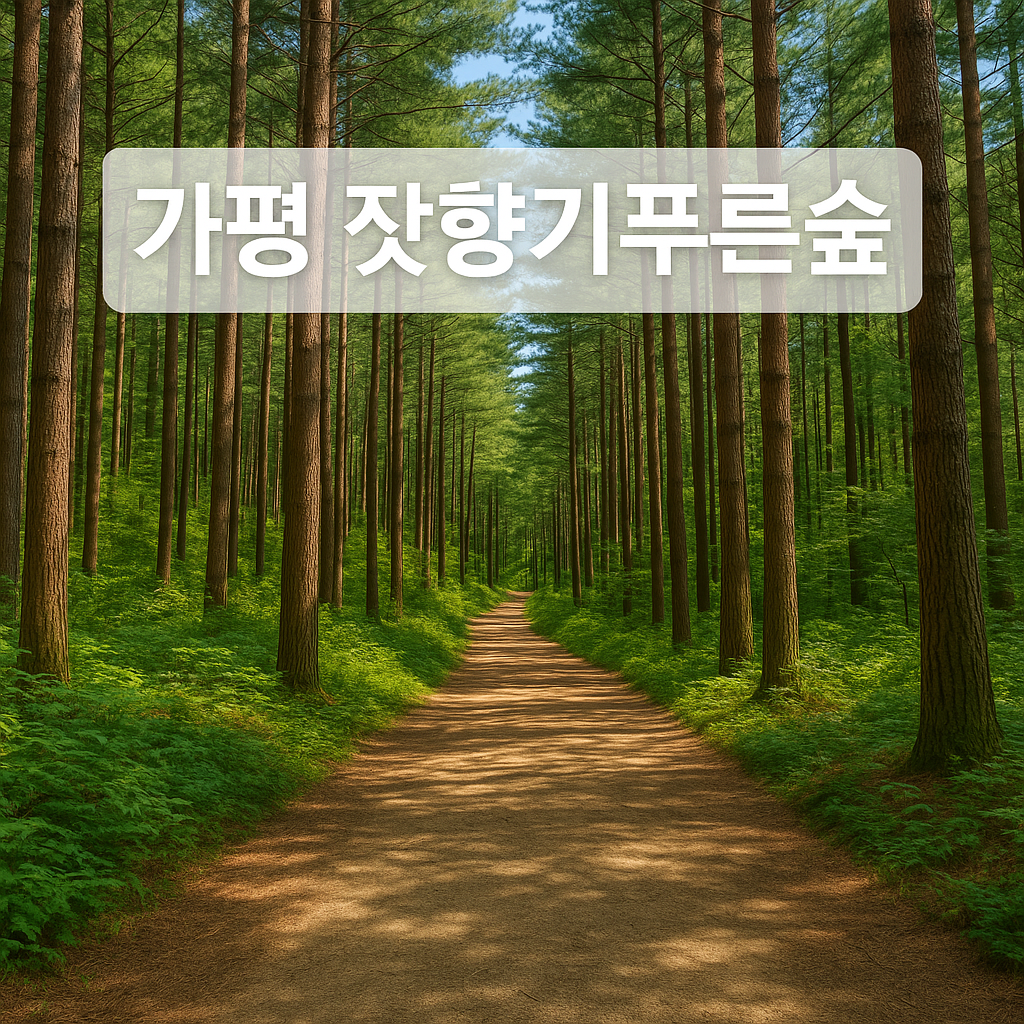 가평 잣향기푸른숲