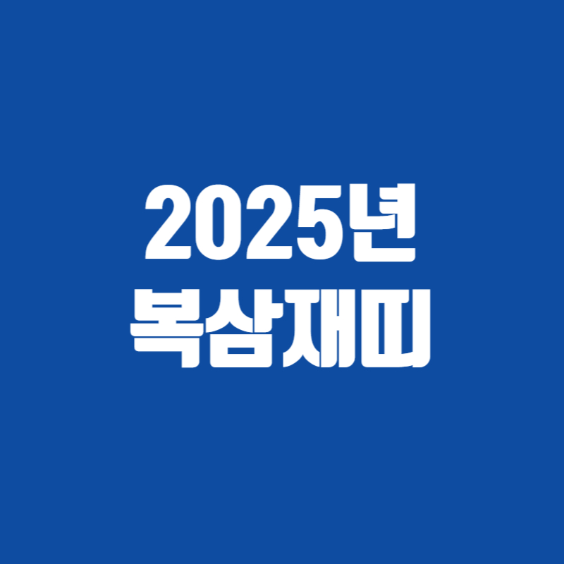2025년 복삼재띠