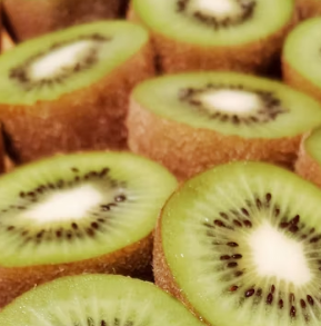 피부 노화 방지 비법 음식 관리법