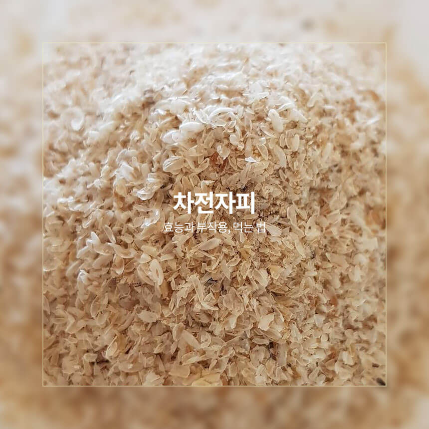 차전자피 효능&#44; 부작용&#44; 먹는법