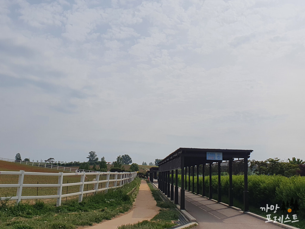 안성 팜랜드 목장