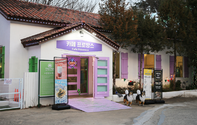 청도 프로방스