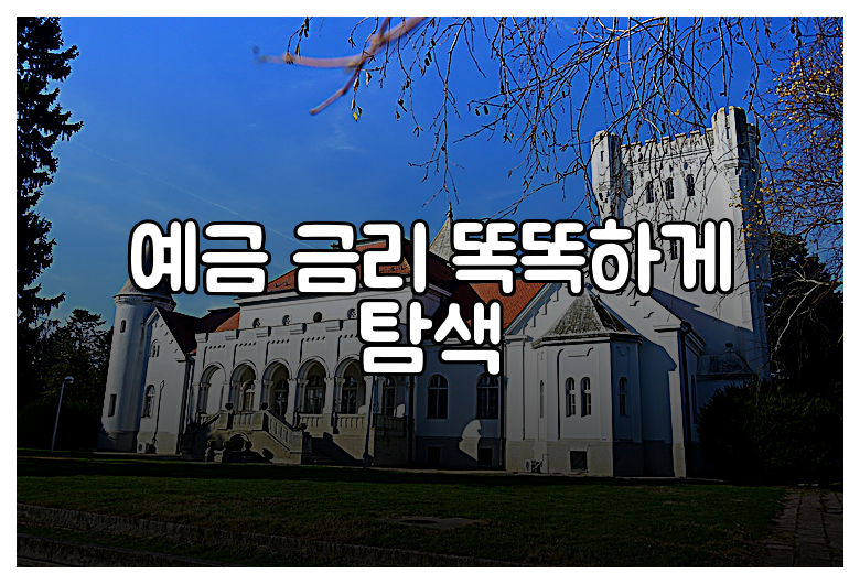예금 금리 똑똑하게 탐색