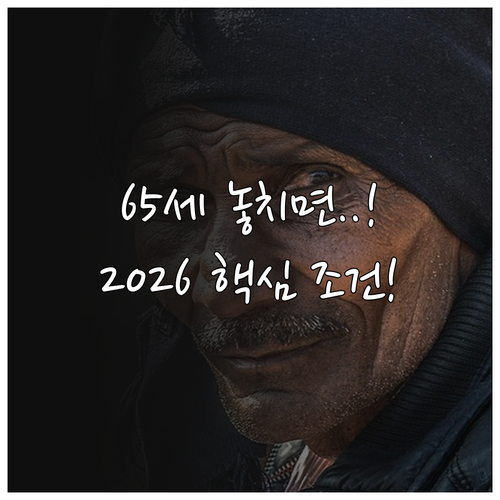 만 65세 이상 2026 노인일자리 ..
