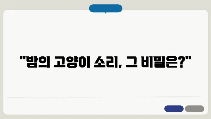 고양이가 밤에 우는 이유? 소음 줄이고 편하게 자는 팁