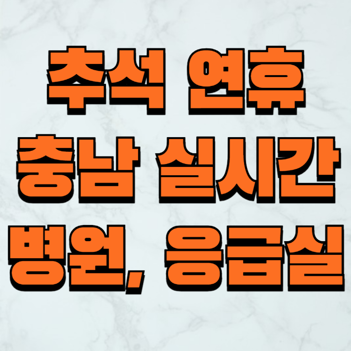 충남 추석 연휴 응급실 병원 약국 실시간 가까운위치