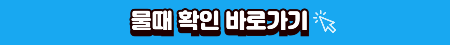 물때확인