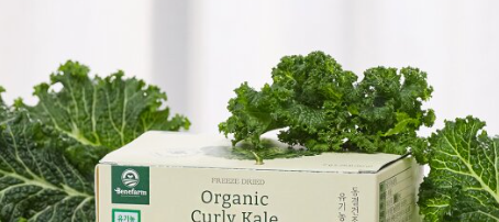 컬리 케일 효능 건강 다이어트